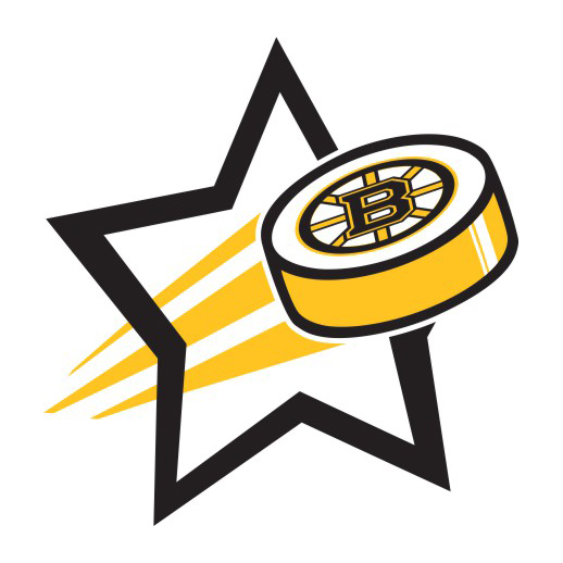 Boston Bruins Hockey Goal Star logo iron on paper